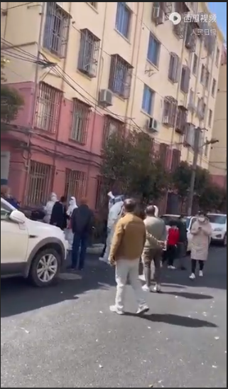 “謝謝各地大白”！史無(wú)前例上海核酸大篩查“謝”幕(圖4)